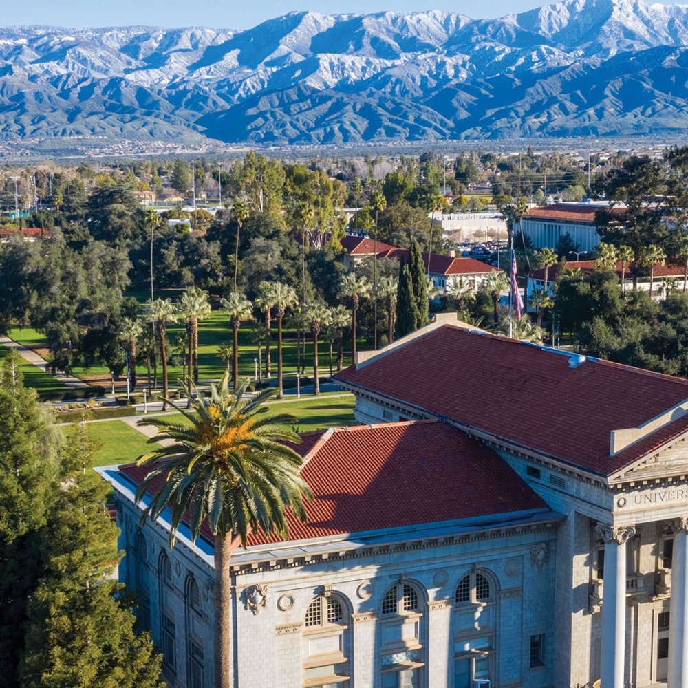 Standard Post with Image