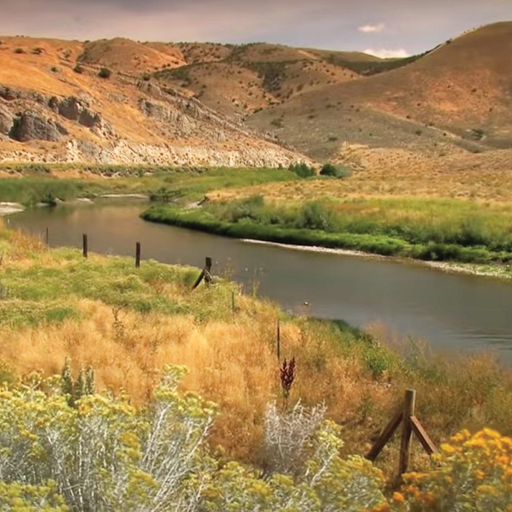 Standard Post with Image