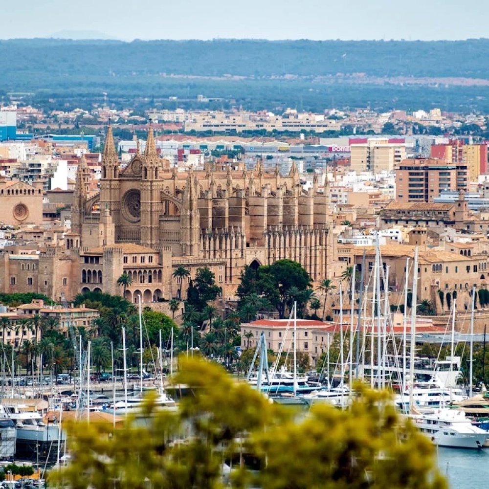 Standard Post with Image