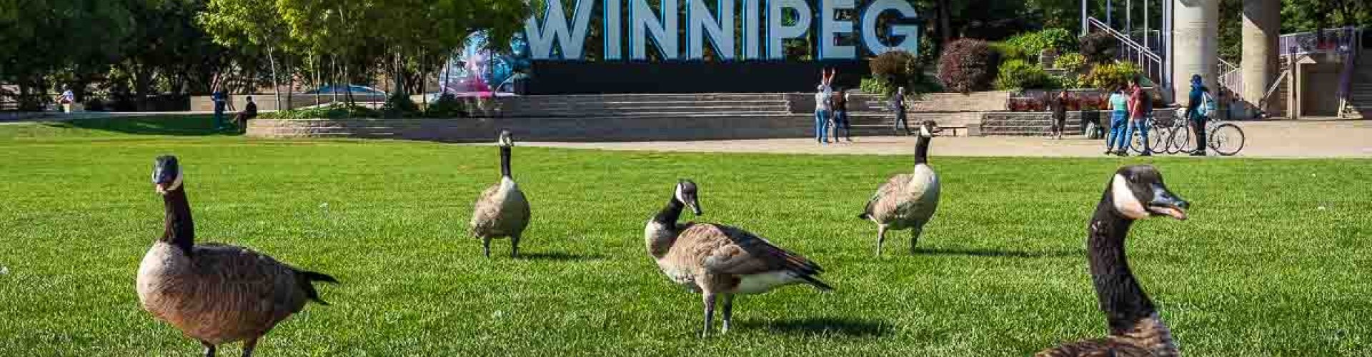 Winnipeg Landscape