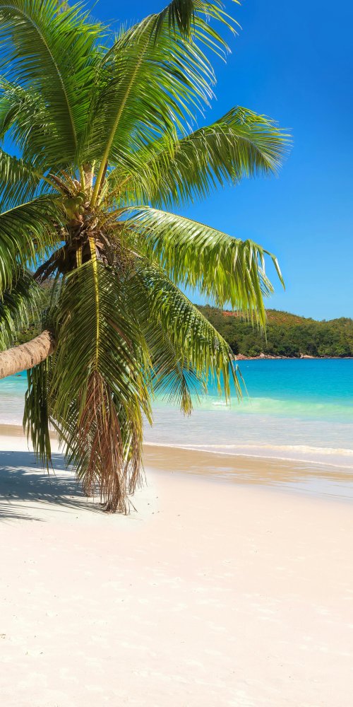 Getting around Montego Bay, JM