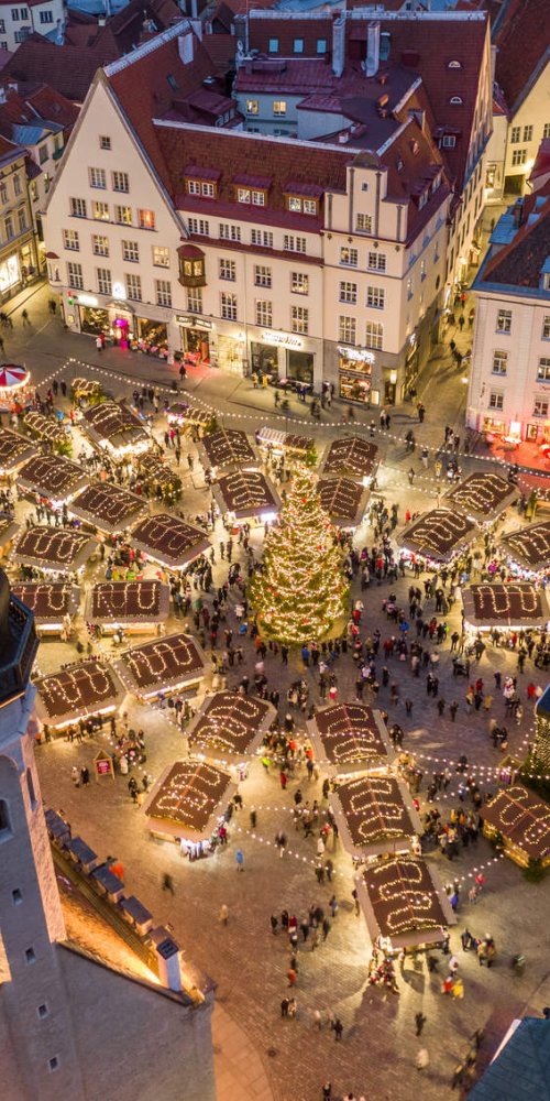 Portrait of Tallinn cityscape