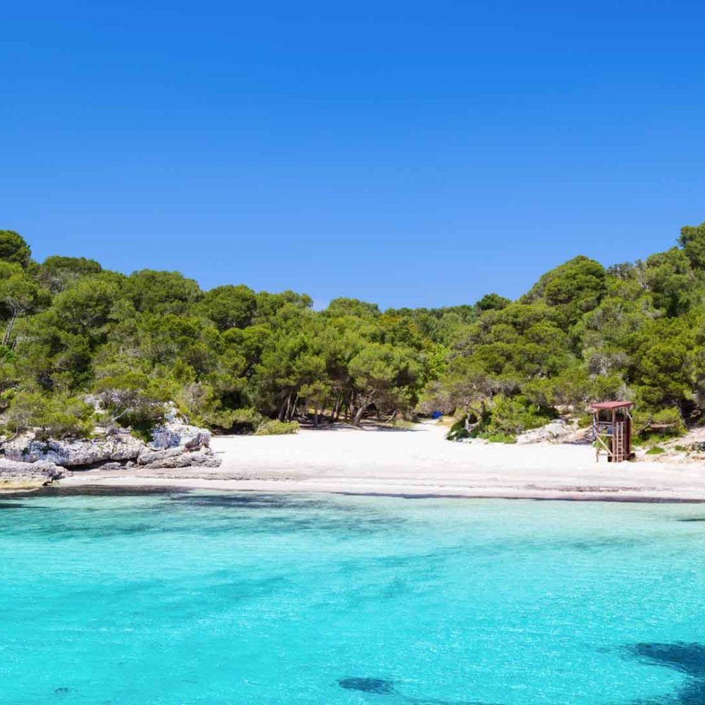 Standard Post with Image