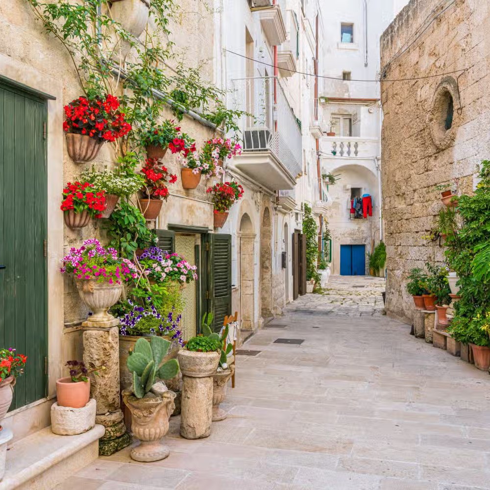 Standard Post with Image