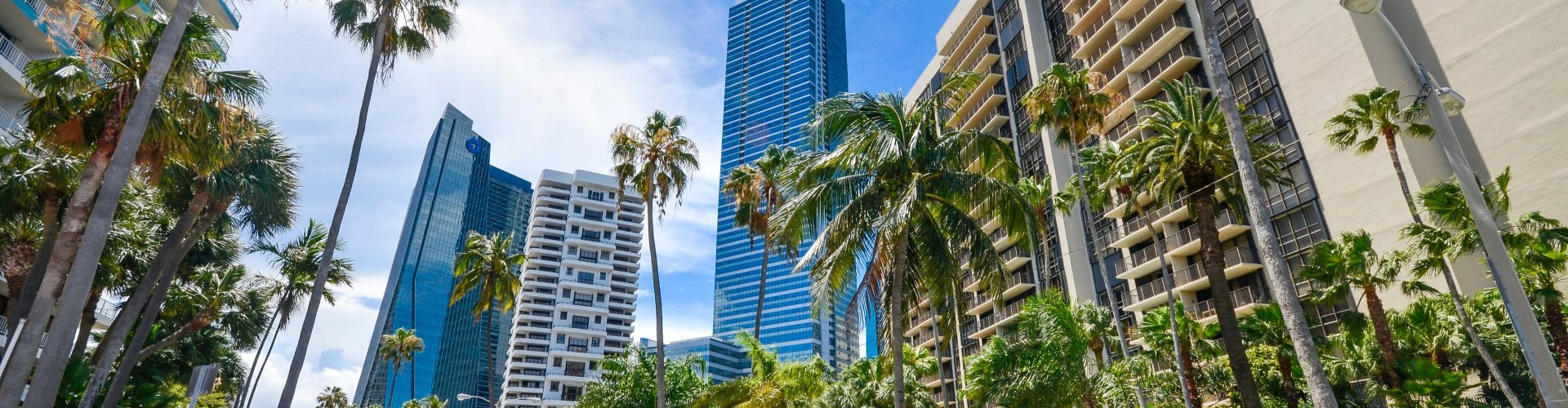 Sunset over Miami skyline