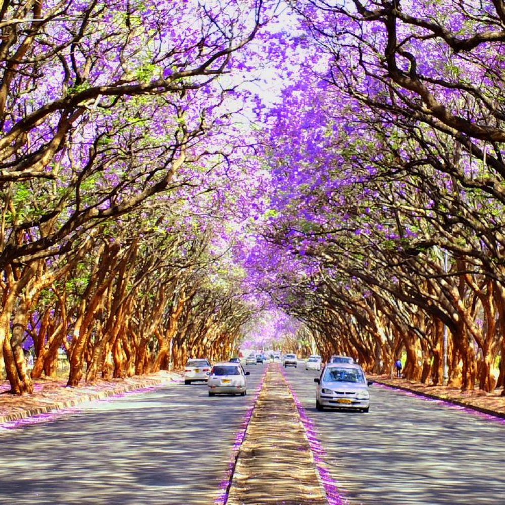 Standard Post with Image