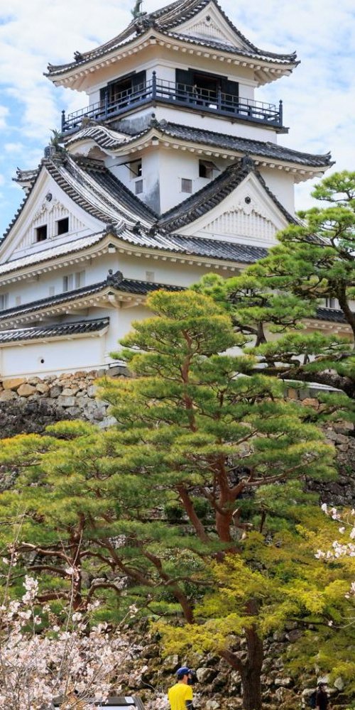 Getting around Kochi