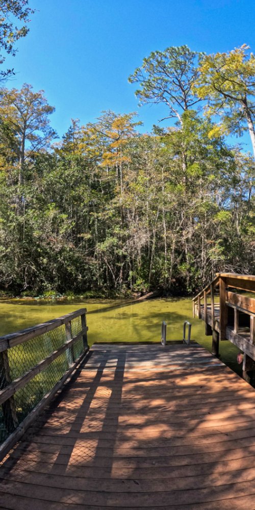 Public transport in Niceville, FL, US