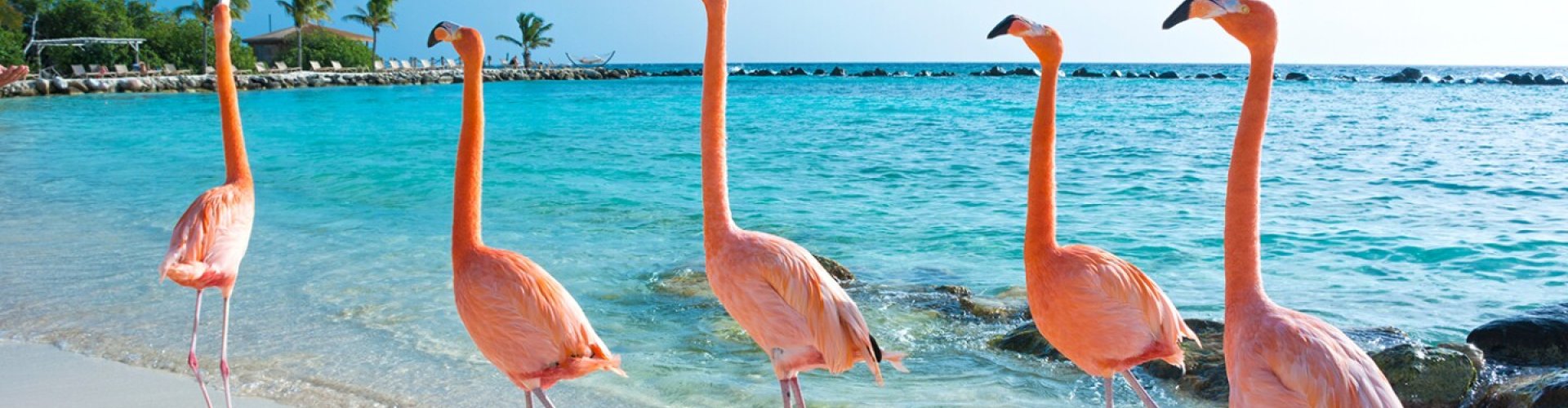 Aruba, AW