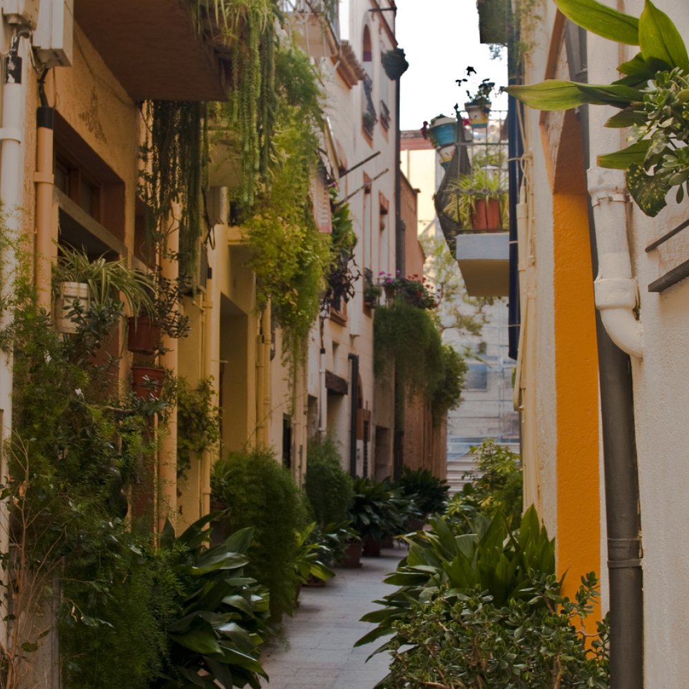 Standard Post with Image